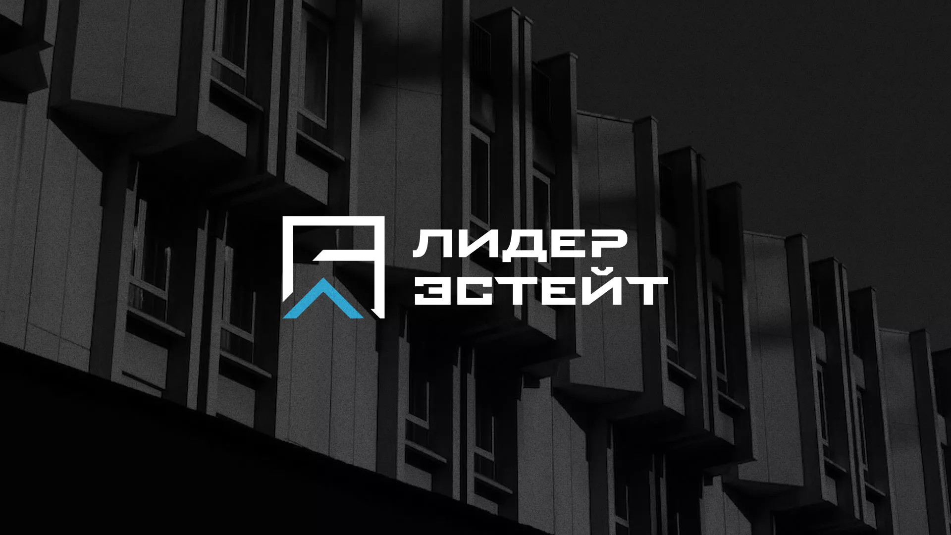 Разработка логотипа агентства недвижимости «Лидер Эстейт» в Южно-Сахалинске